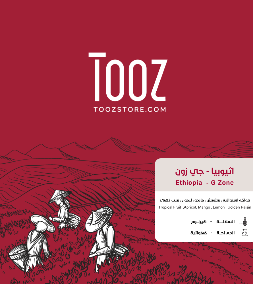 Tooz G-Zone Ethiopia 250G - Coffee Souq