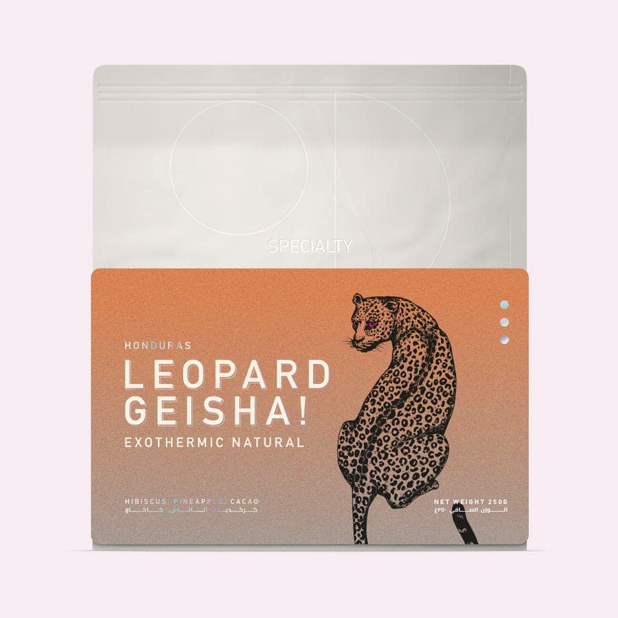 Three Honduras Leopard Geisha